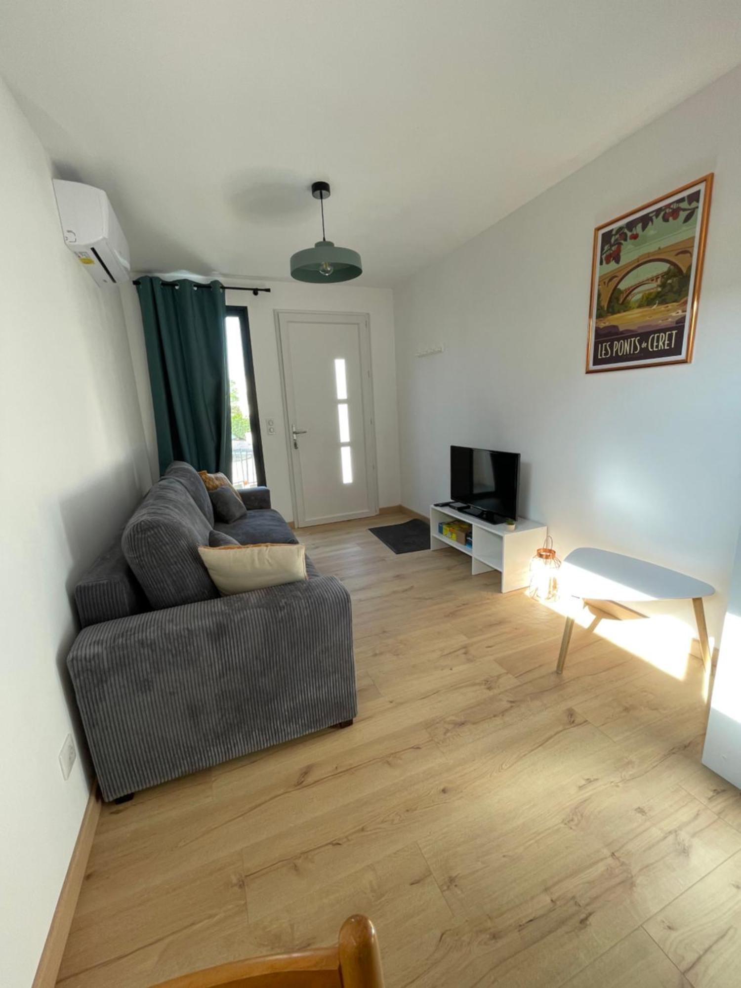 Bel Appartement A Ceret Exterior photo